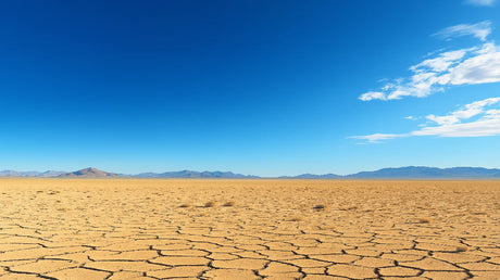 Desert landscape wallpaper design file showing detailed cracked earth texture and mountain silhouettes
