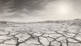 Desert landscape wallpaper design file showing detailed monochrome pattern of cracked earth