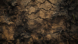 Desert cracked earth pattern design file showing intricate texture details and rich terracotta tones