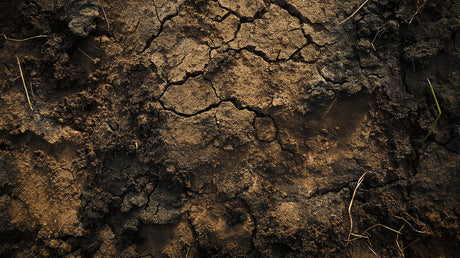 Desert cracked earth pattern design file showing intricate texture details and rich terracotta tones