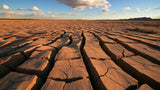 Desert landscape wallpaper design file showing detailed cracked earth pattern and terracotta color palette