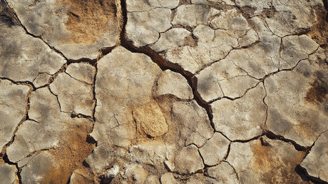 Desert cracked earth wallpaper design file showing intricate texture patterns and terracotta tones
