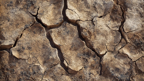 Desert cracked earth pattern design file showing intricate texture details and rich earth tones