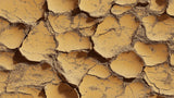 Desert wallpaper design file showing detailed terracotta cracked earth pattern
