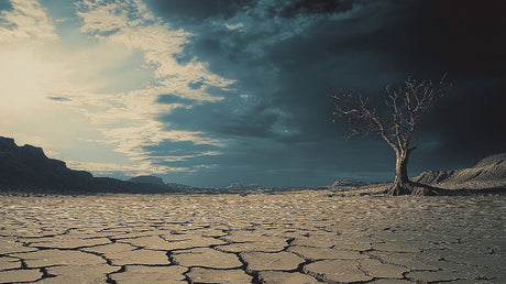 Desert cracked earth wallpaper design file showing detailed texture and moody sky
