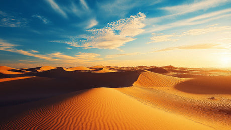 Desert wall mural design file showing detailed golden dunes pattern with turquoise sky