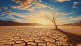 Desert wall mural design file showing lone tree silhouette against dramatic sunset sky