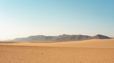 Desert mountain wallpaper design file showing the complete minimalist pattern and earthy color palette