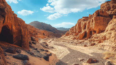 Desert canyon landscape design file showing detailed rock formations and natural color palette