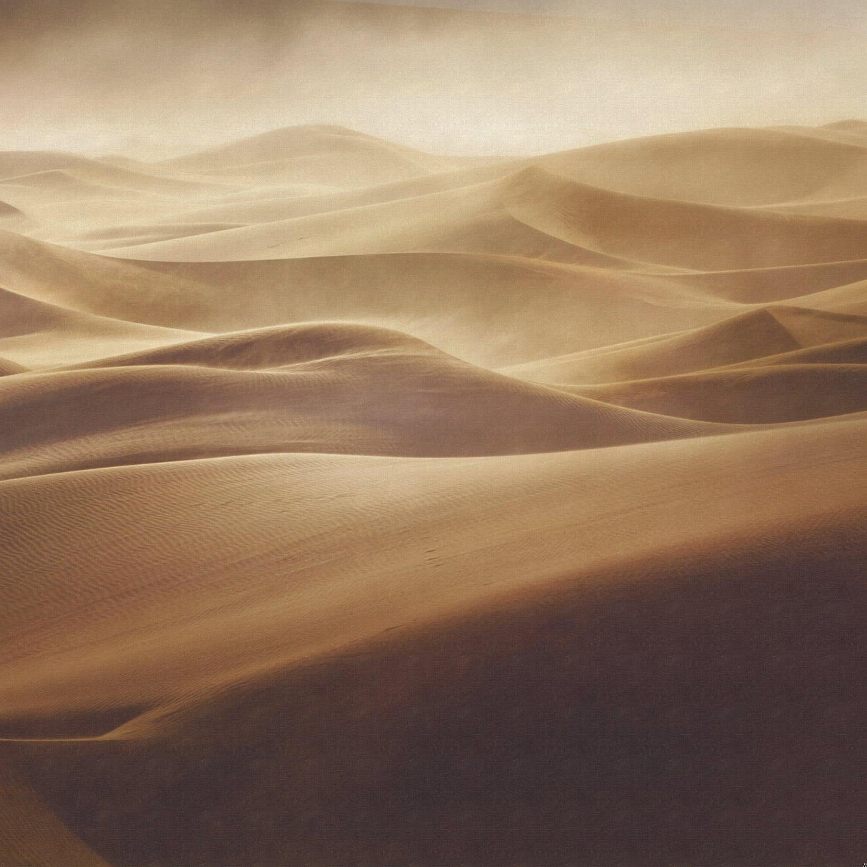 Desert landscape wallpaper design file showing detailed sand dune patterns and textures