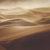 Desert landscape wallpaper design file showing detailed sand dune patterns and textures