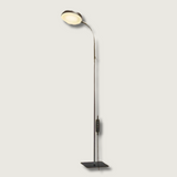 Modern LED Floor Lamp  Adjustable Gooseneck Design - Product showcase