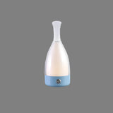 Wine Bottle Table Lamp  Rechargeable LED Touch Light - Product detail 19