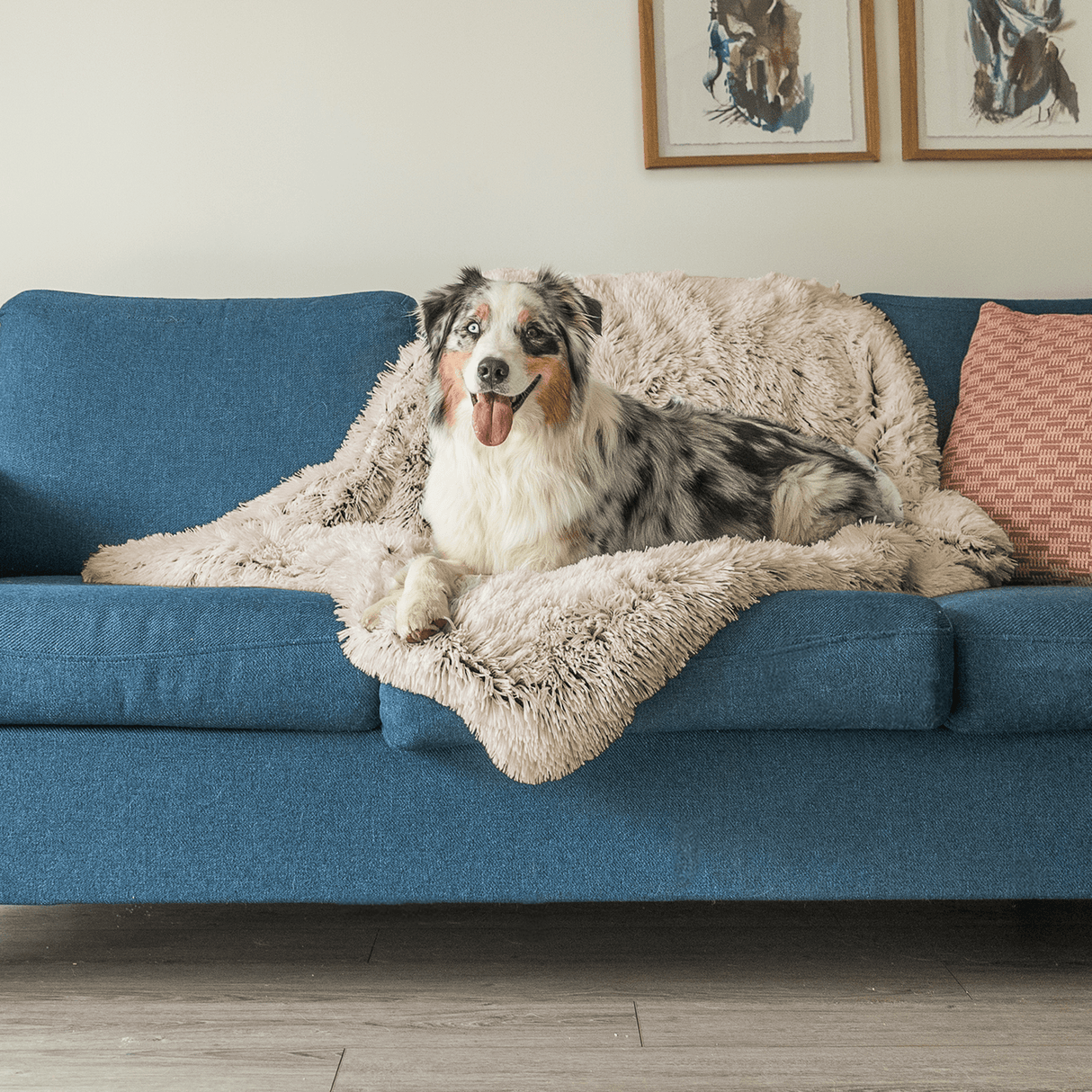Plush Pet Throw Blanket  Premium Faux Fur Comfort - Product detail 7