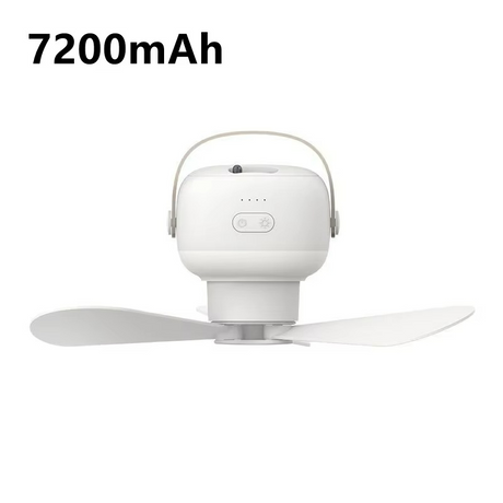 Portable Camping Fan  LED Light  Remote Control - Product example