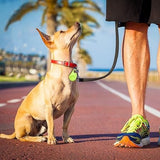 Smart Pet GPS Tracker  Bluetooth Location Device For Collars - Detailed view