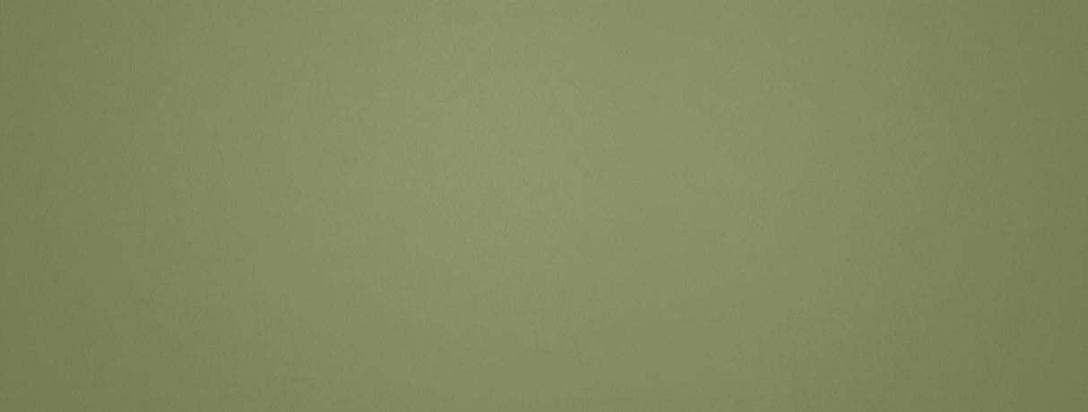 Green Mural Wallpaper | Modern Olive Solid Design