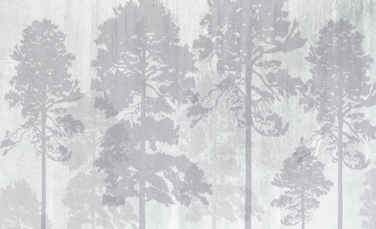 Forest Mural Wallpaper | Misty Pine Trees in Grey