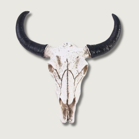 Decorative Longhorn Skull  White Resin Wall Art - Product showcase
