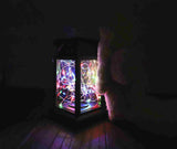 Solar Garden Lantern  Multicolor LED String Light Display - Product showcase