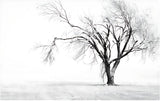 Tree Mural Wallpaper | Black and White Winter Forest Design
