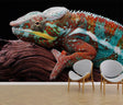 Chameleon wallpaper mural creating dramatic impact in a modern minimalist office space with clean lines and natural lighting