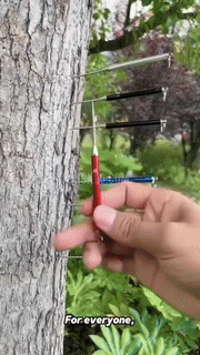 Telescopic Toothpick  Premium Alloy EDC Multi-Tool - Detailed view