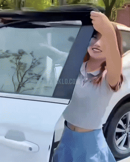 Magnetic Car Window Shade  UV Protection Mesh Curtains - Detailed view