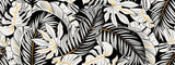 Papier Peint Mural Tropical | Monstera Noir et Blanc avec Accents Dorés