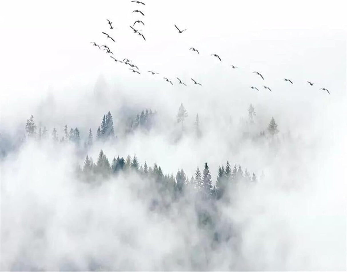 Forest Mural Wallpaper | Misty Pine Trees with Birds