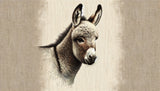 Donkey portrait wallpaper design file showing detailed fur texture and warm neutral tones