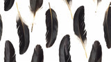 Black and gold feather pattern design file showing intricate details and metallic accents