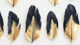Black and gold feather wallpaper creating a dramatic statement wall in a modern living room with plush furniture