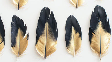 Black and gold feather wallpaper creating a dramatic statement wall in a modern living room with plush furniture