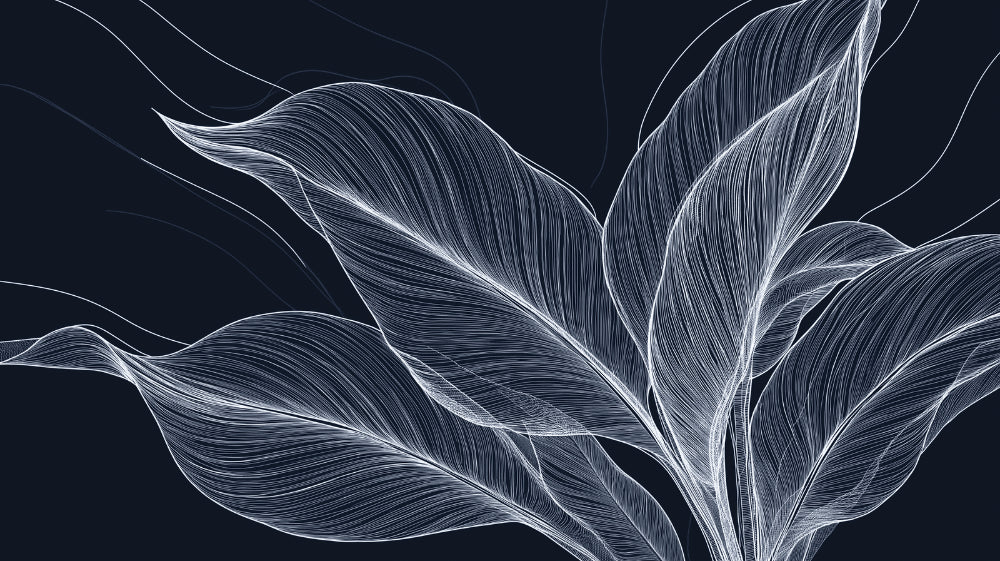 Black and white Feather Line Art design file showing intricate pattern details