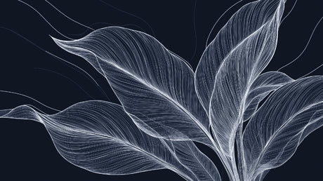 Black and white Feather Line Art design file showing intricate pattern details