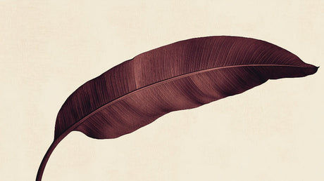 Large burgundy feather design file showing intricate botanical pattern on beige background