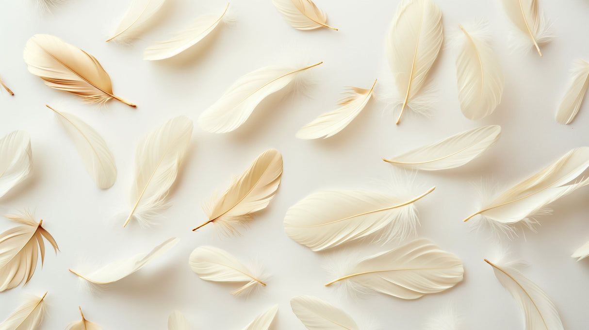 Floating feather wallpaper design file showing detailed cream and gold plumes on white background