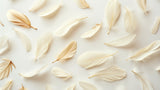 Floating feather wallpaper design file showing detailed cream and gold plumes on white background