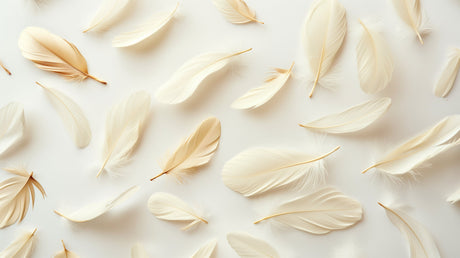 Floating feather wallpaper design file showing detailed cream and gold plumes on white background