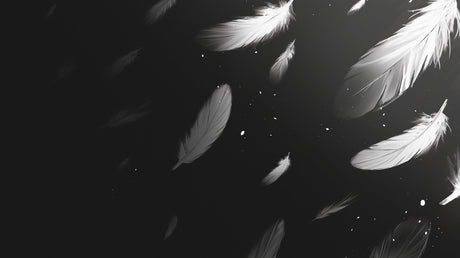 Black and white feather wallpaper design file showing detailed plume pattern
