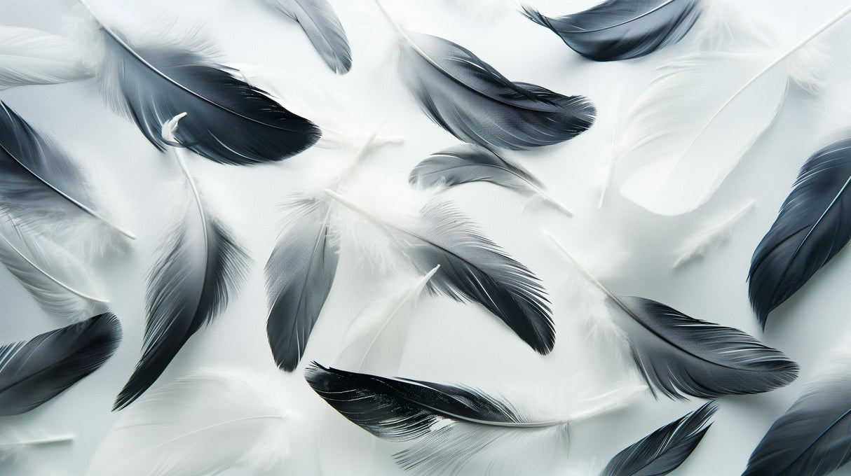 Black and grey feather wallpaper design file showing detailed floating plumes pattern
