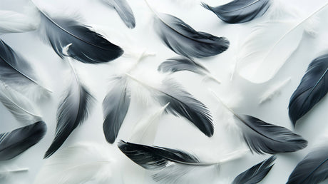 Black and grey feather wallpaper design file showing detailed floating plumes pattern