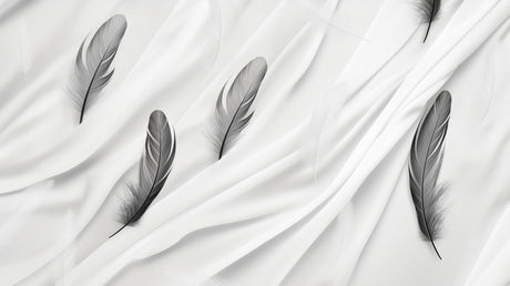 Black and white feather wallpaper design file showing detailed feather pattern on white background