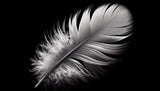 Monochrome feather wallpaper design file showing intricate natural detail pattern