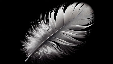 Monochrome feather wallpaper design file showing intricate natural detail pattern