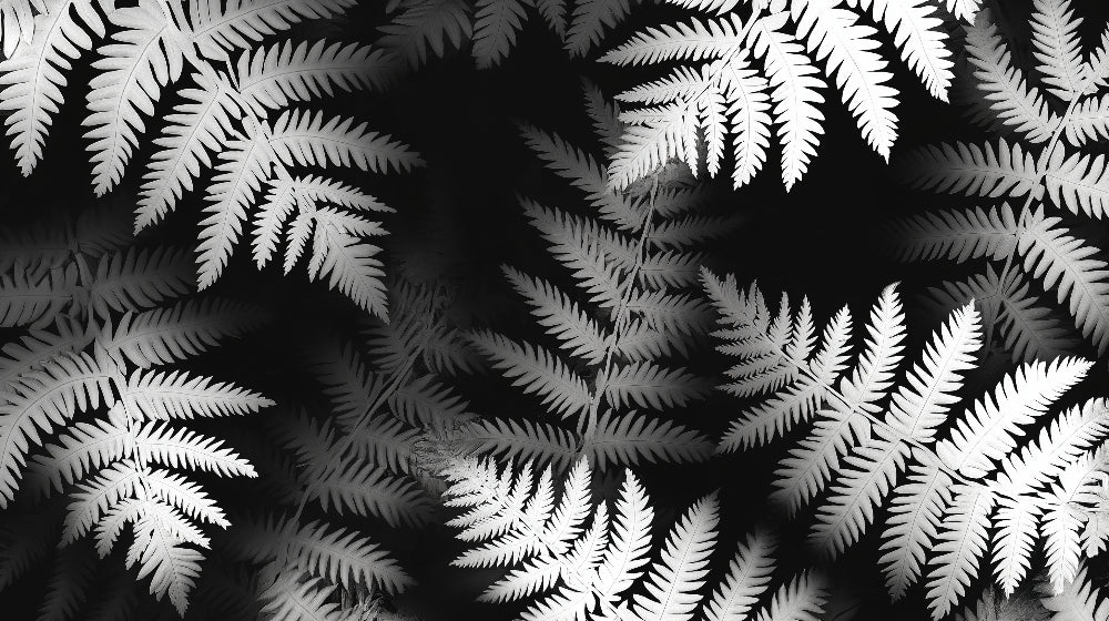 Black and white botanical fern wallpaper design file showing detailed pattern and texture