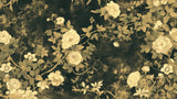 Black and gold rose pattern design file showing intricate floral details and metallic finish