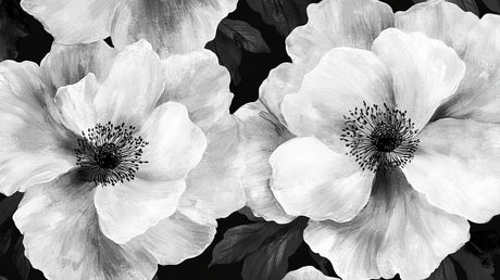 Black and white anemone floral wallpaper design file showing intricate botanical pattern