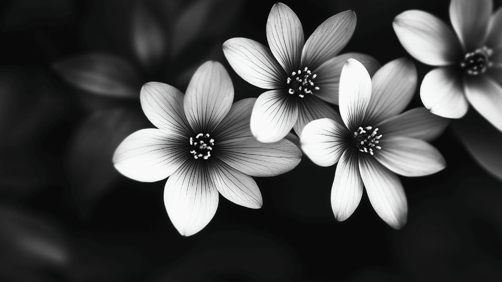 Black and white botanical wallpaper design file showing detailed flower pattern and intricate petals